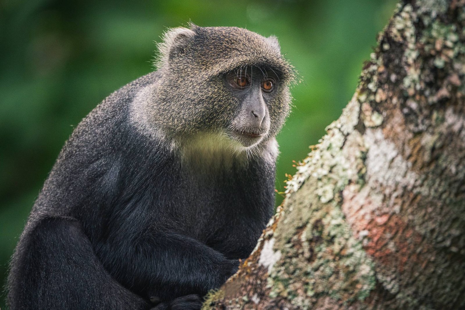 Arusha National Park 2