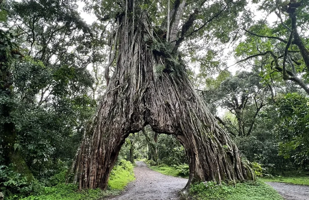 Arusha National Park 3