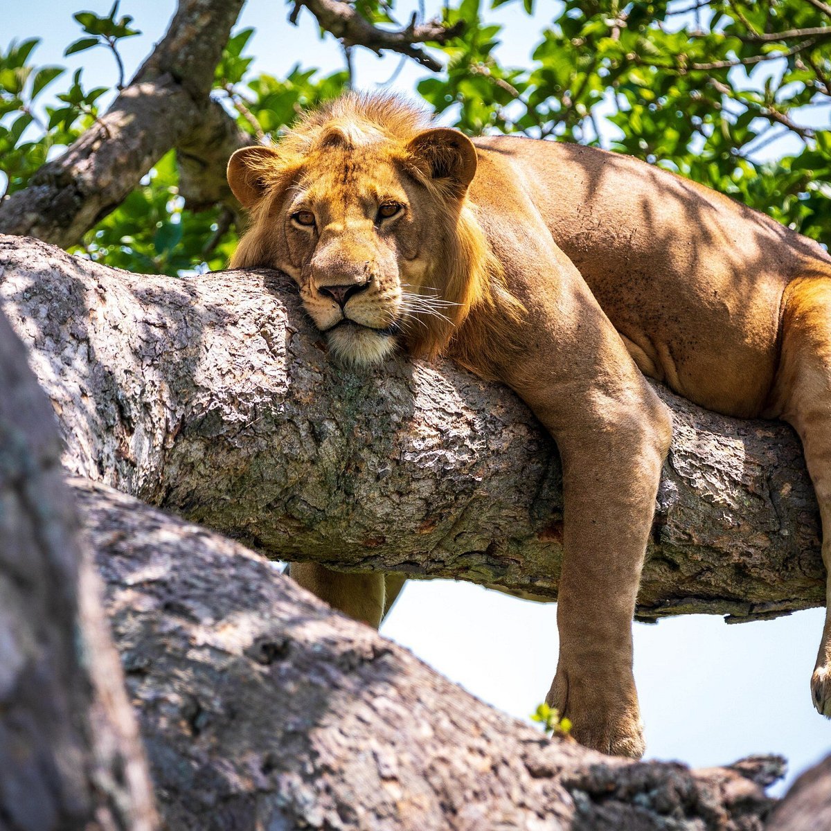 Lake Manyara National Park 3