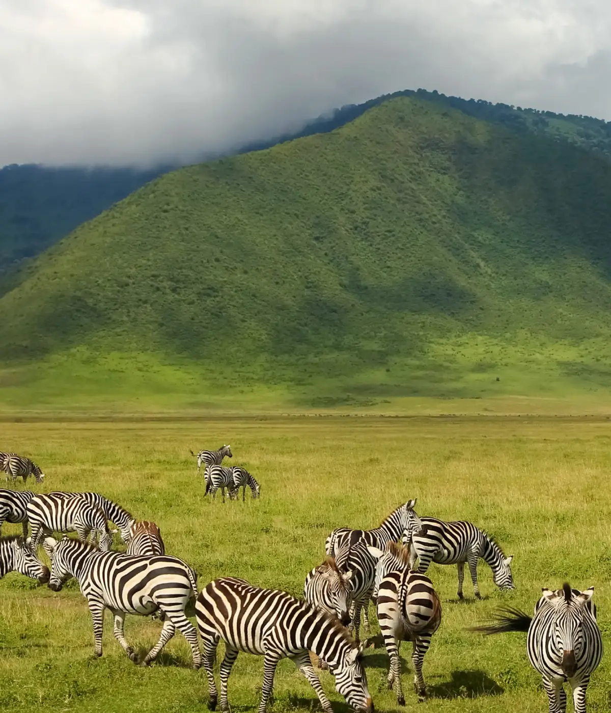 Ngorongoro Crater