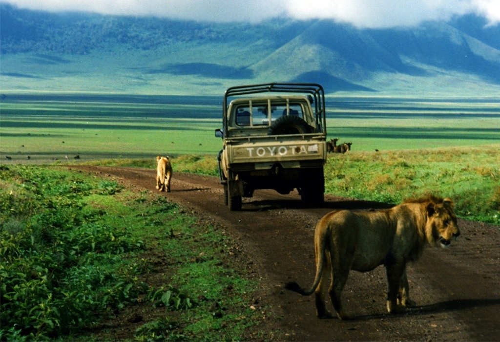 Ngorongoro Crater 2