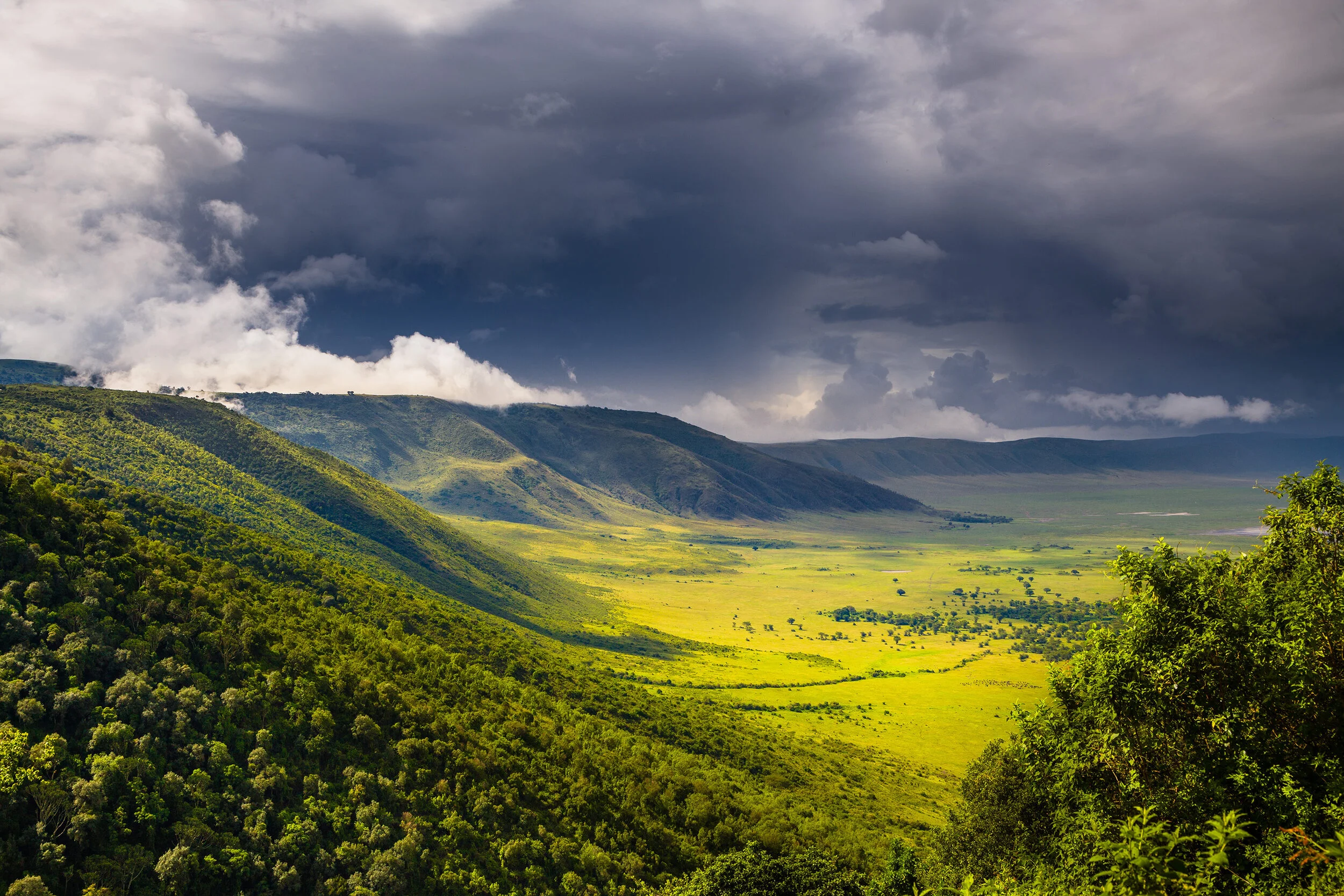 Ngorongoro Crater 3