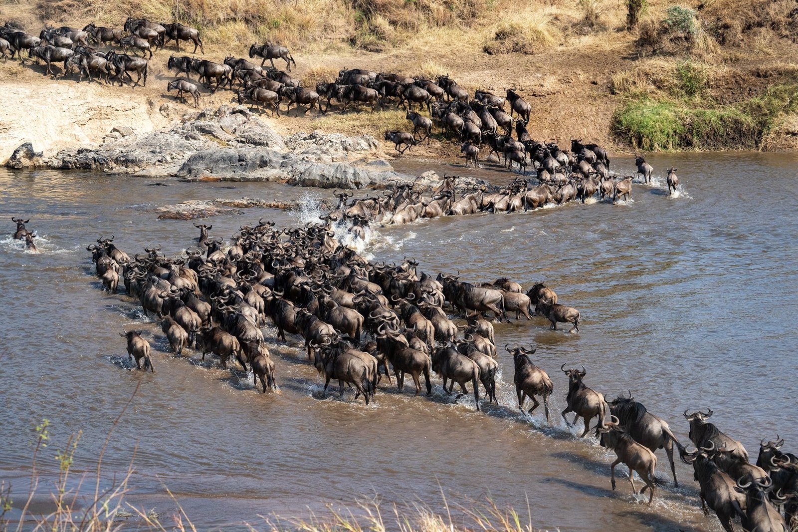 Serengeti National Park 5