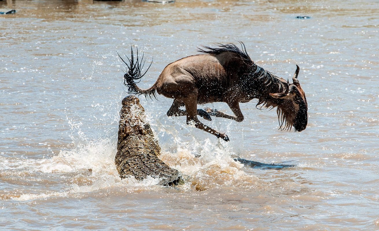 Serengeti National Park 6