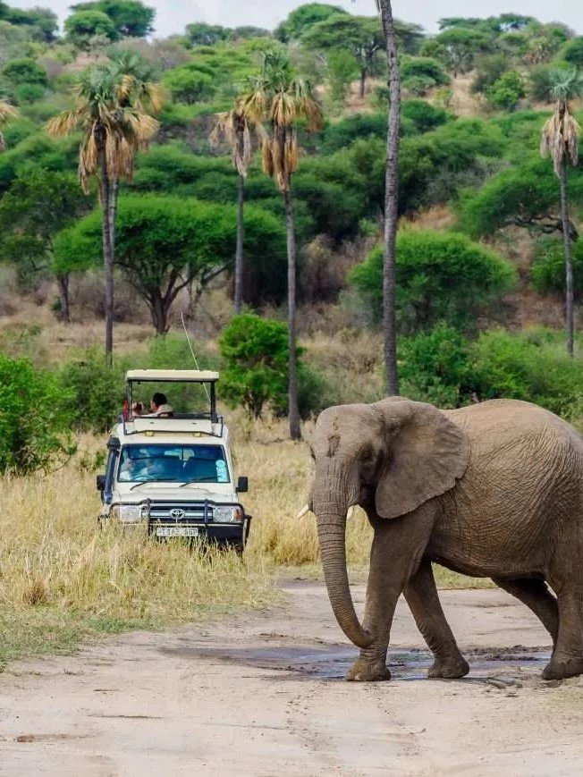 Tarangire National Park