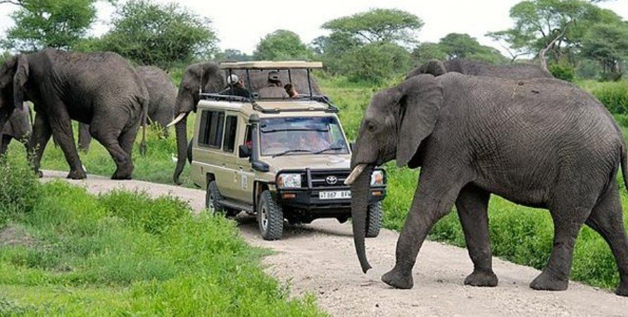 Tarangire National Park 1