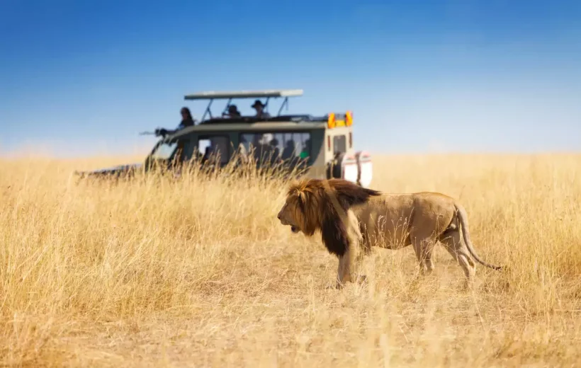 Essential Tanzania Safari