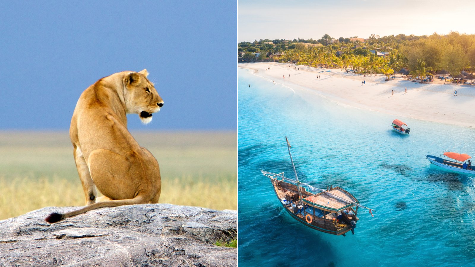 The Grand Safari & Beach