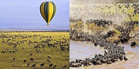 Great Migration Special