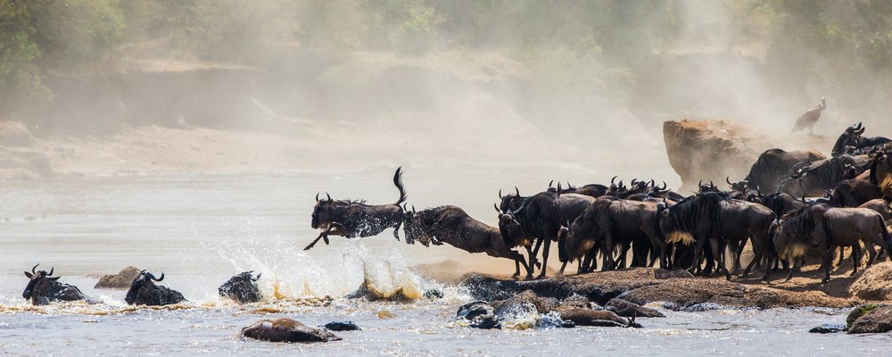 Great Migration Special